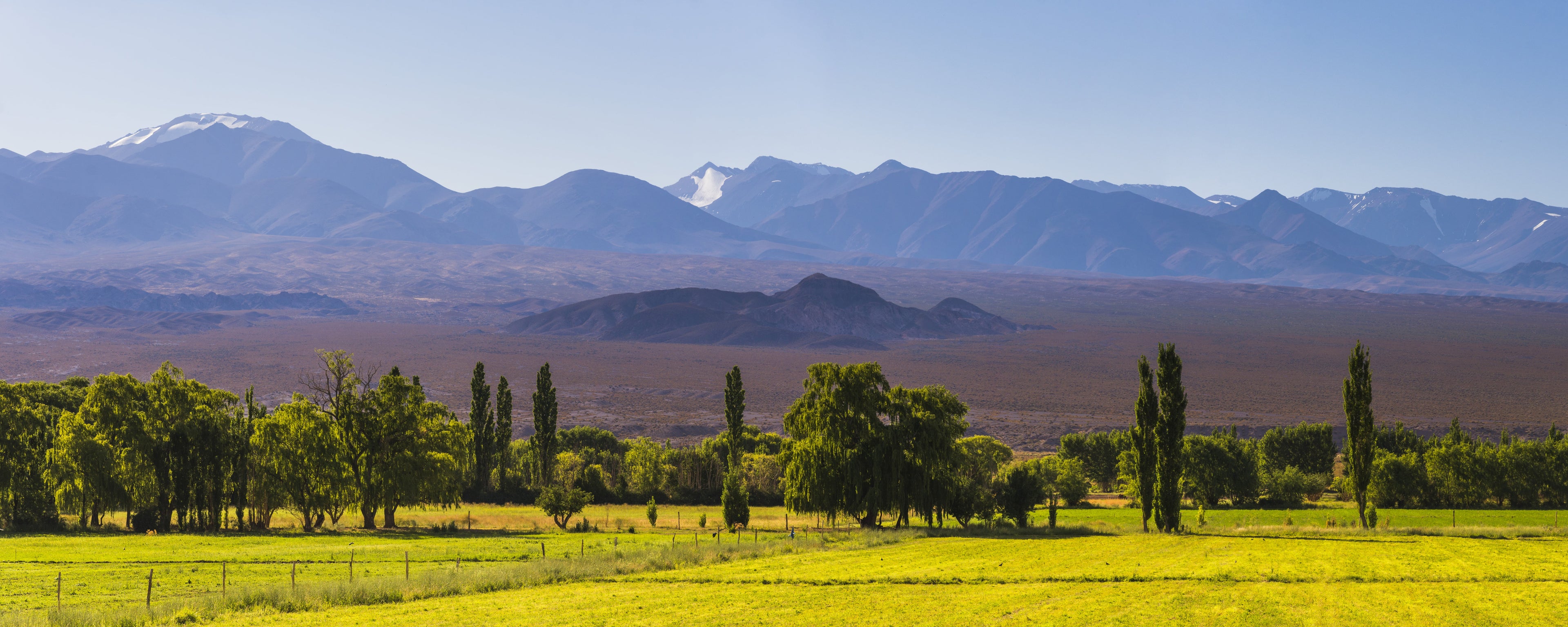 Landscape of green fields and moutains in the background. They are typical of the Cuyo region of Argentina.